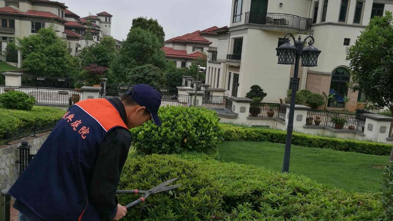 园林绿化施工，如何确保一步到位？**