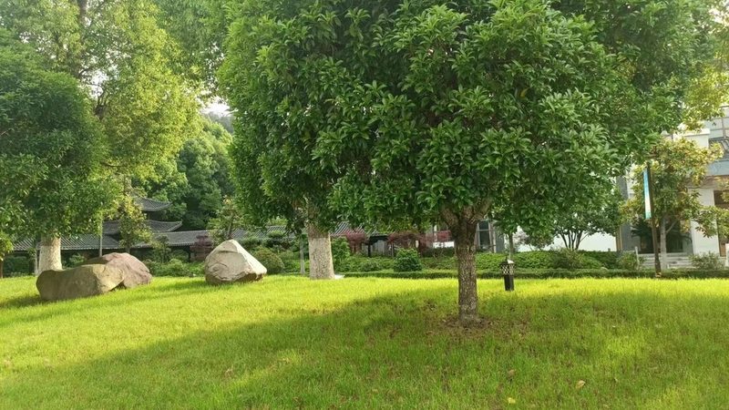 假山喷泉循环系统维修：关键步骤与注意事项**