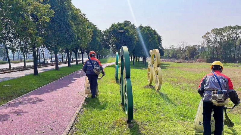 大型会议室花卉租摆，尺寸如何把握？**