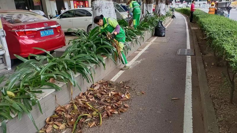 园林绿化资质办理：关键步骤与注意事项**