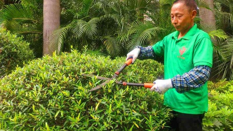 商场中庭立体绿化，如何打造城市绿肺？**