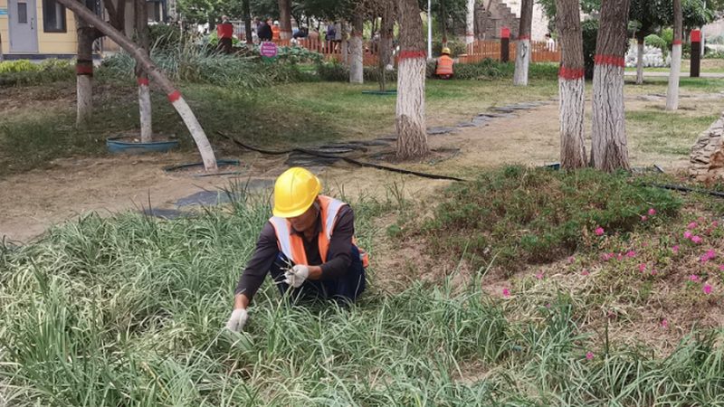 屋顶绿化防水卷材材质对比