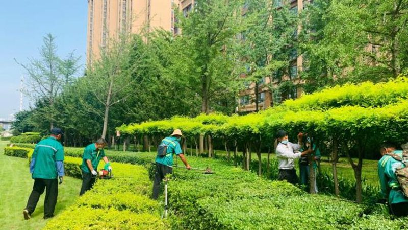 市政道路绿化施工公司排名：揭秘优质服务的背后